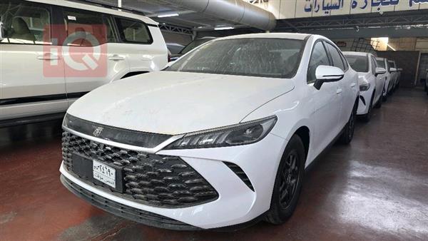 بي واي دي Qin Plus 2025 للبيع في العراق -  بغداد